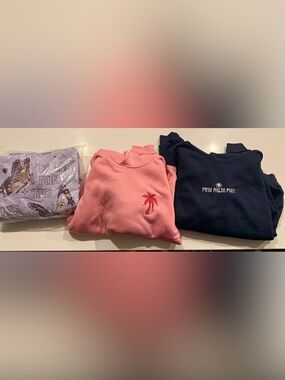 Kids' Inspired Palm Embroidered Pullover Sweatshirts (lot of 3)